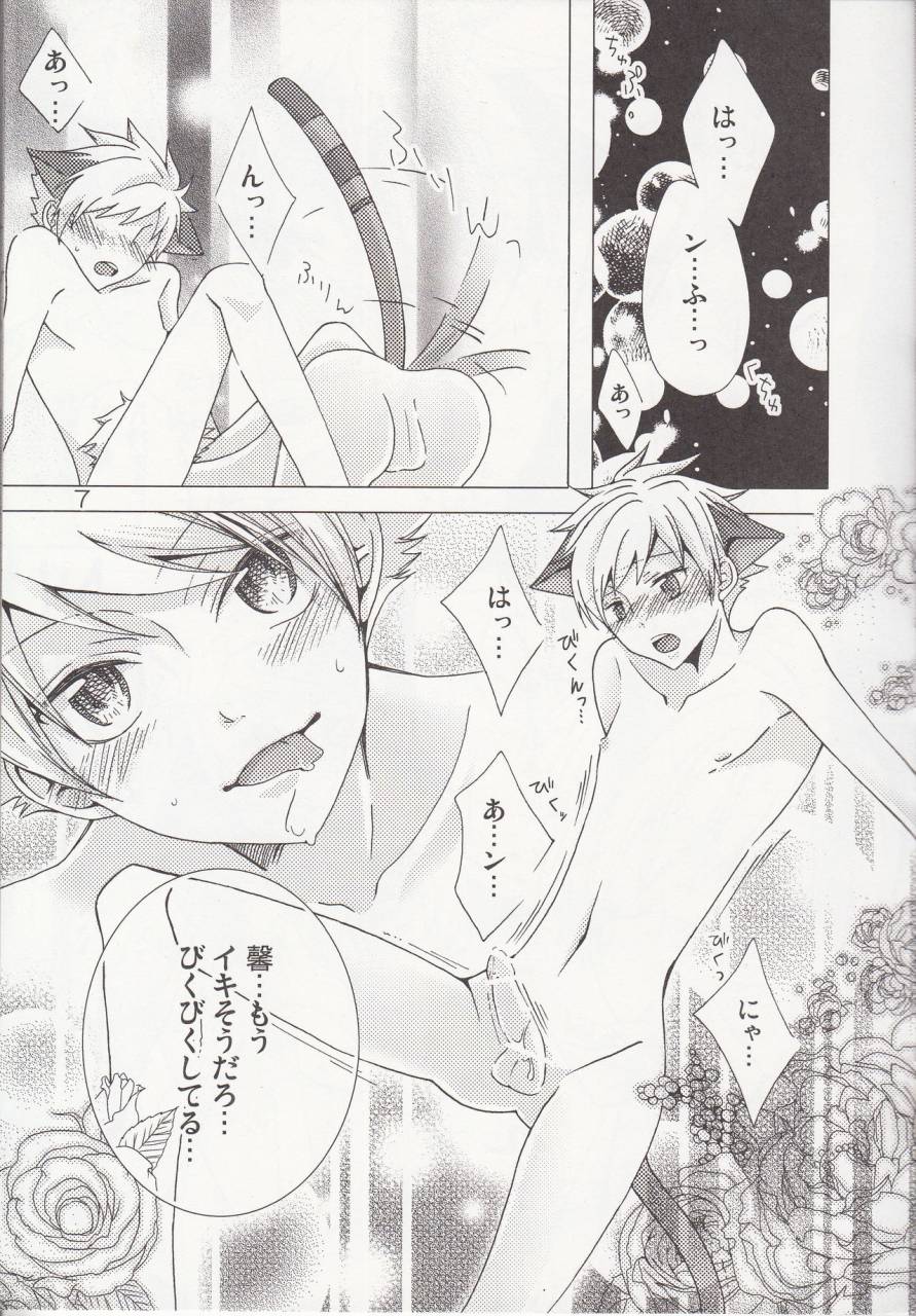 ouran-high-school-host-club