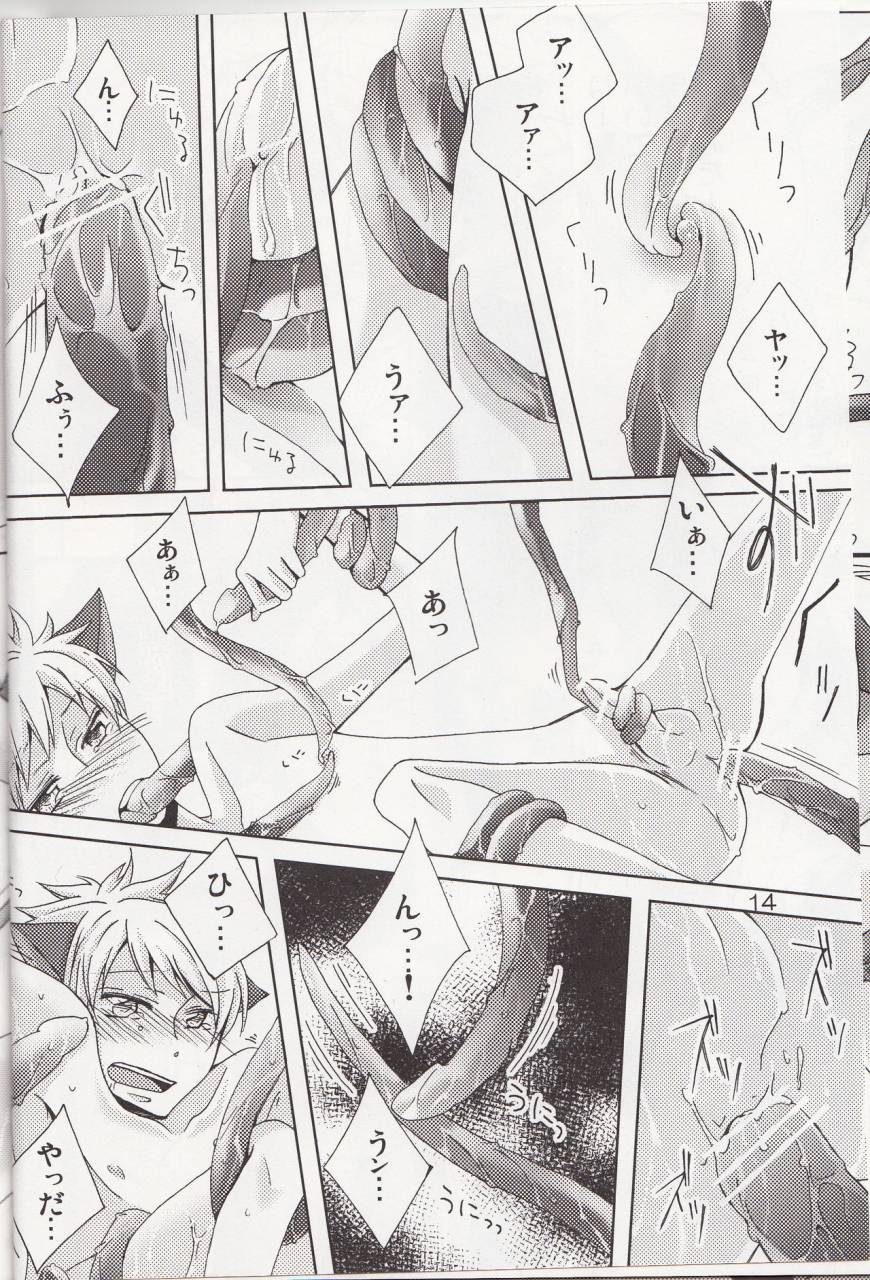 ouran-high-school-host-club