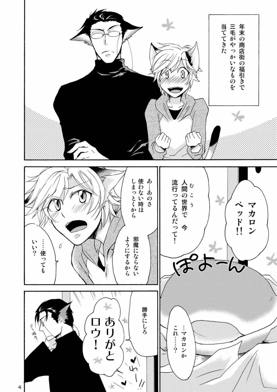 10-rakuda-torino-wolfs-cat-macaron-digital