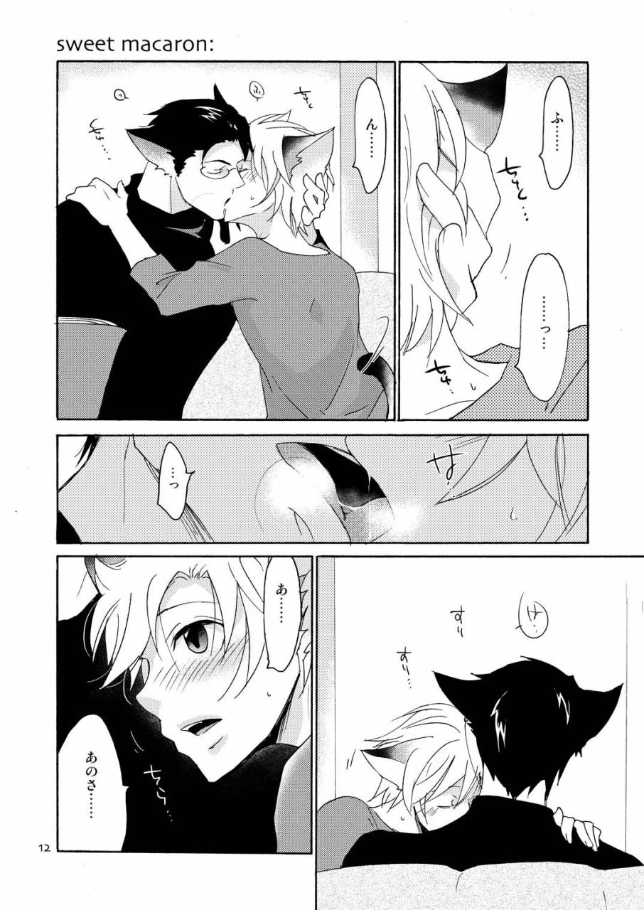 10-rakuda-torino-wolfs-cat-macaron-digital