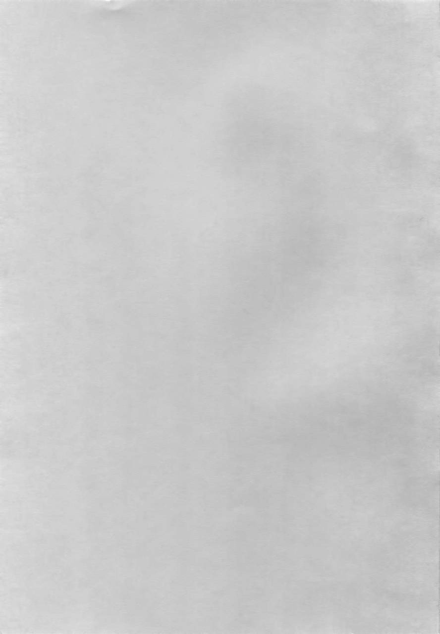 crocodile-ave-gangstar-yoshio-megamix-g-kitsune-gravitation