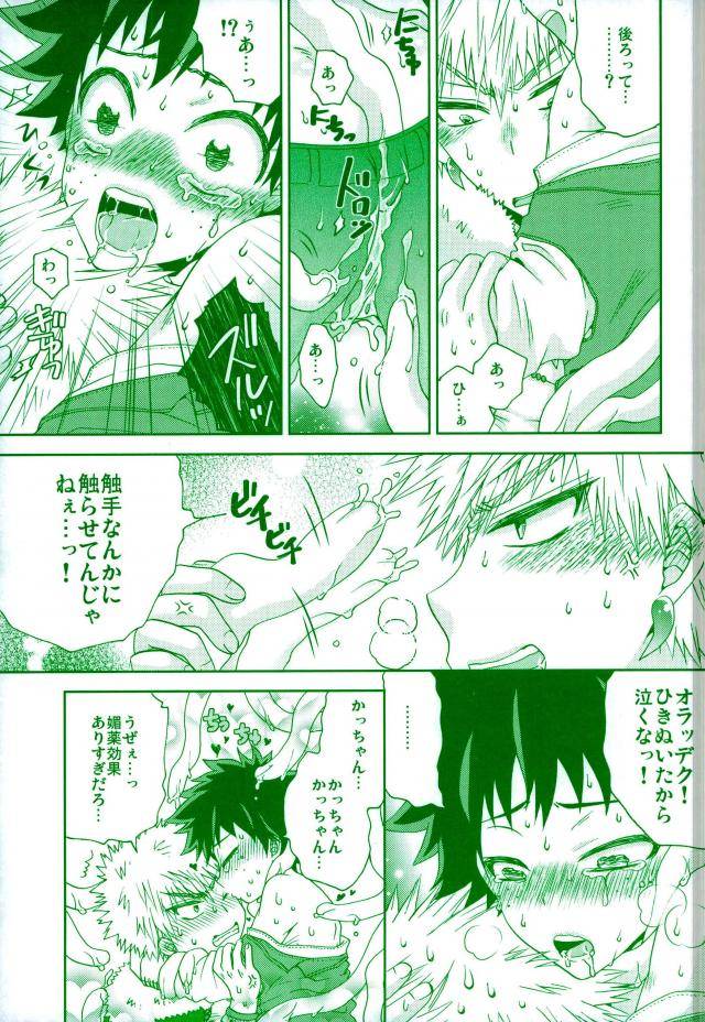 fujii-niya-wild-life-my-hero-academia