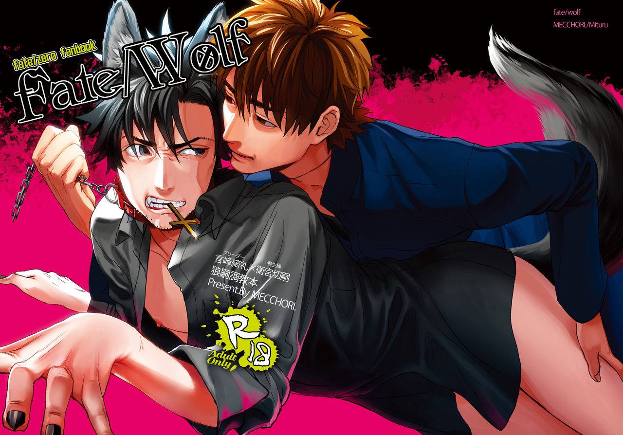 mecchori-mitsuru-fatewolf-fatezero-digital