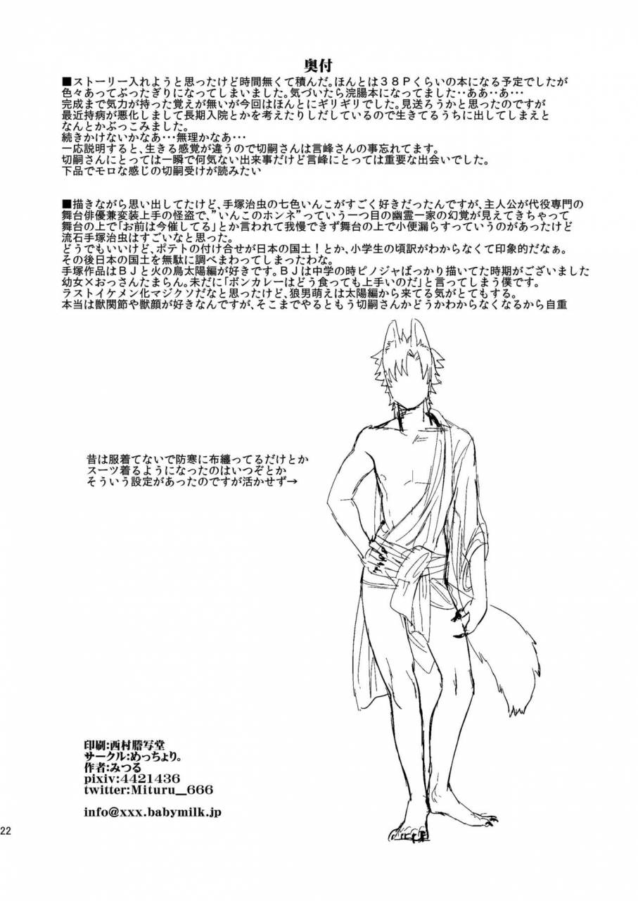 mecchori-mitsuru-fatewolf-fatezero-digital