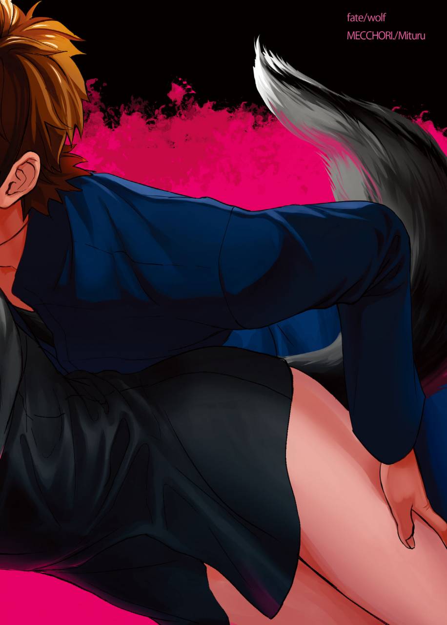 mecchori-mitsuru-fatewolf-fatezero-digital
