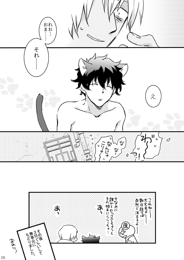 mellow-hoto-catch-as-catch-can-kekkai-sensen-digital