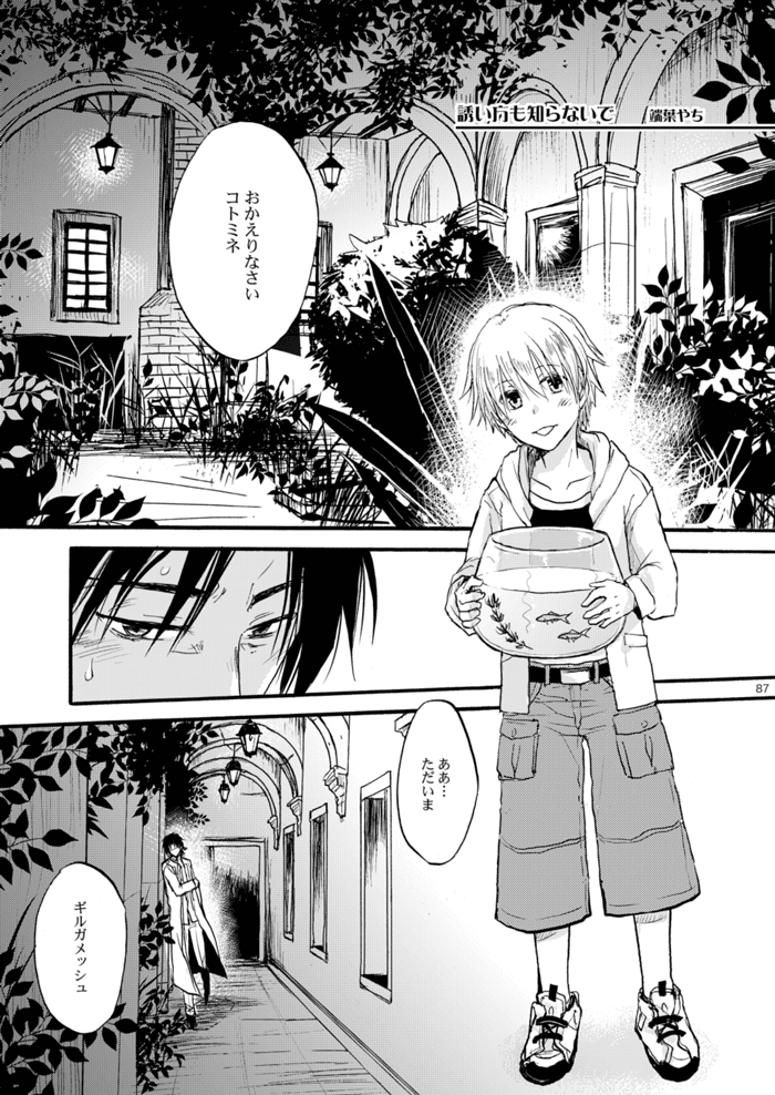 overdose-yamane-shouin-fate-zero-digital