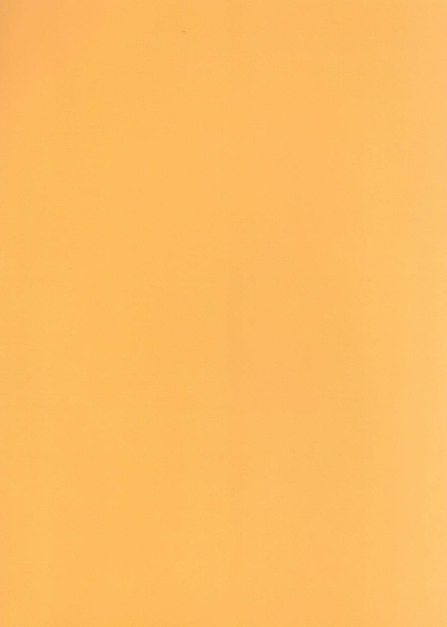 ranko-first-yuri-on-ice-dj-jp