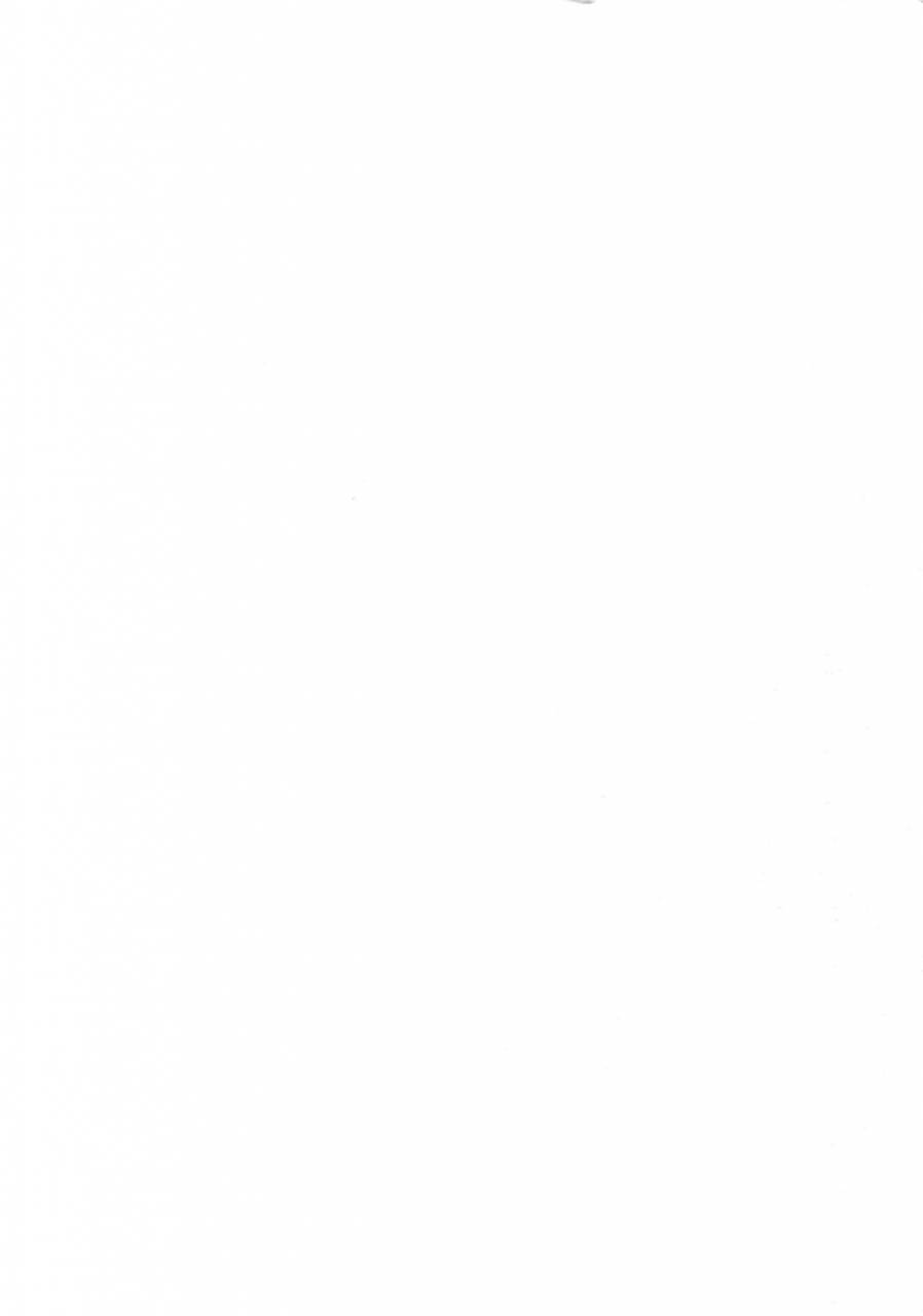 silverrice-sumeshi-perfect-summer-vacation-granblue-fantasy