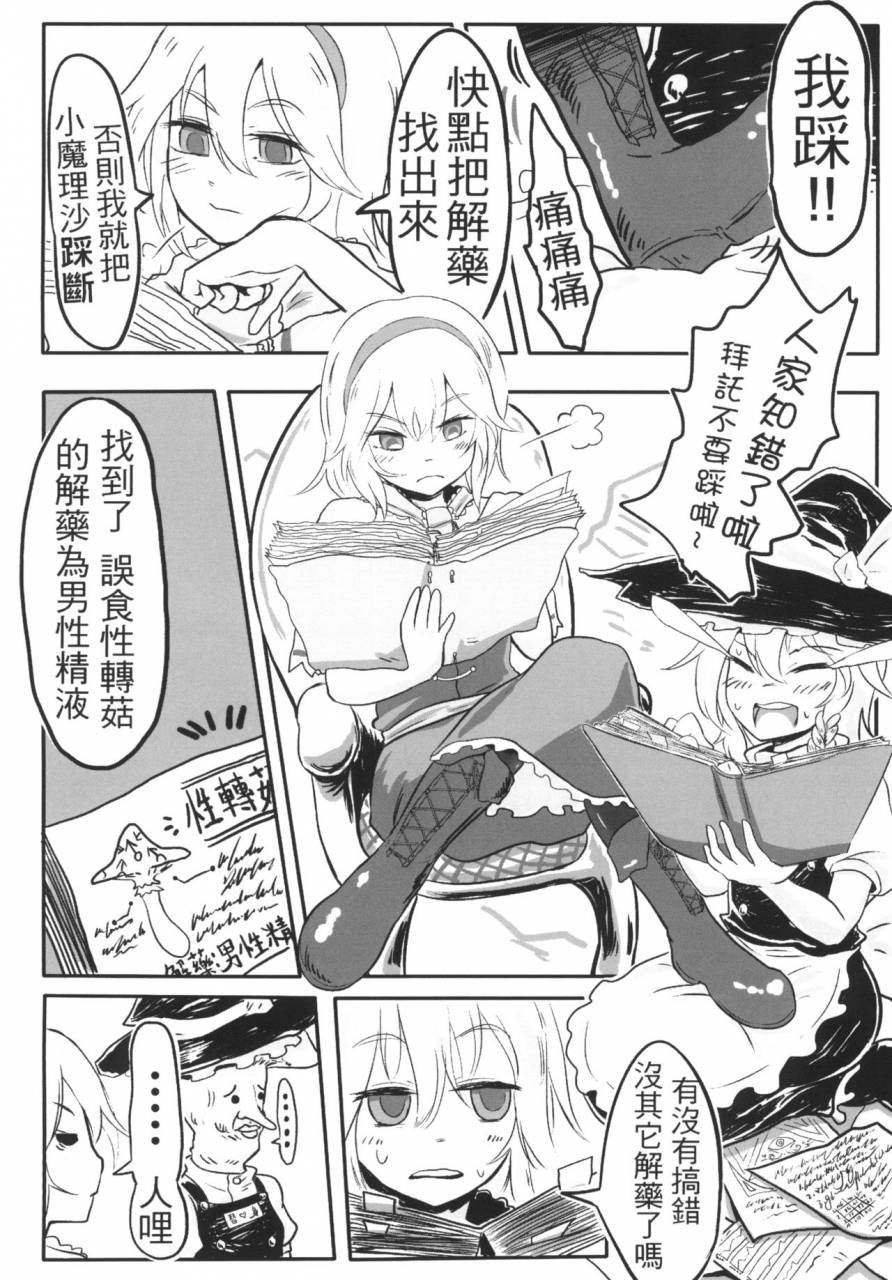 toadstool-factory-mimit-gensoukyou-no-otokonoko-kirisame-marisa-alice-margatroid-hen-touhou-project-chinese-digital