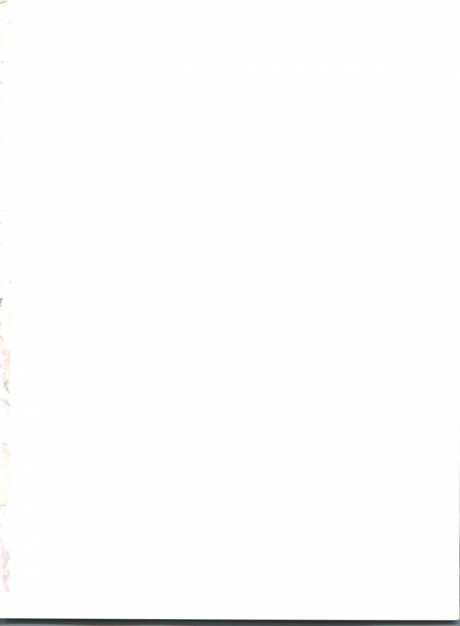 abgrund-udk-taru-yume-2-narutaru