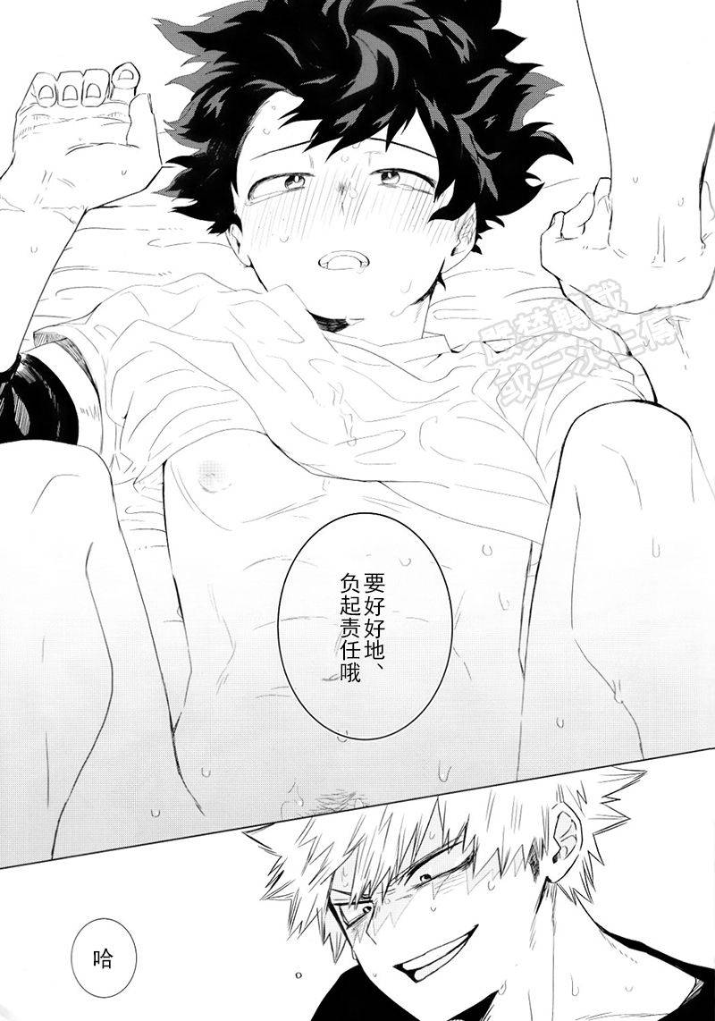 aroe-my-ideal-future-boku-no-hero-academia-chinese