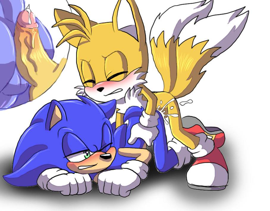 sonic the hedgehog+tails.