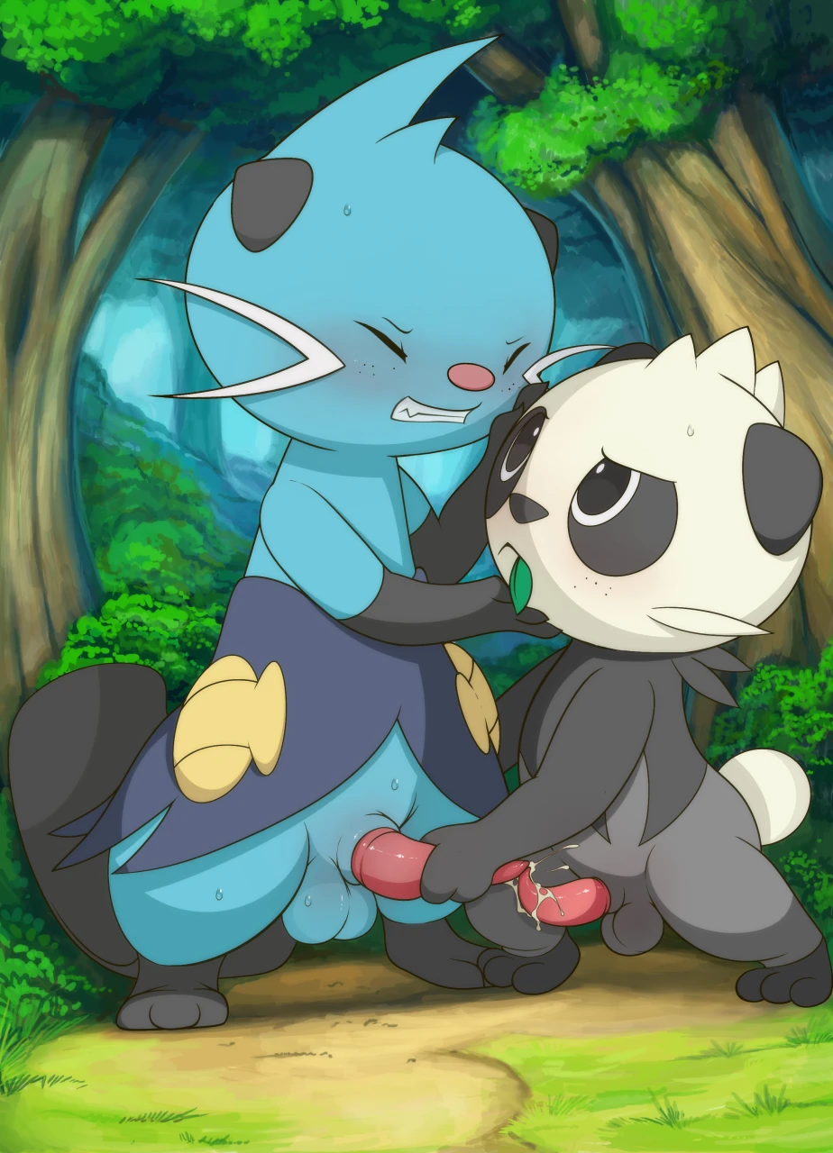 dewottpancham