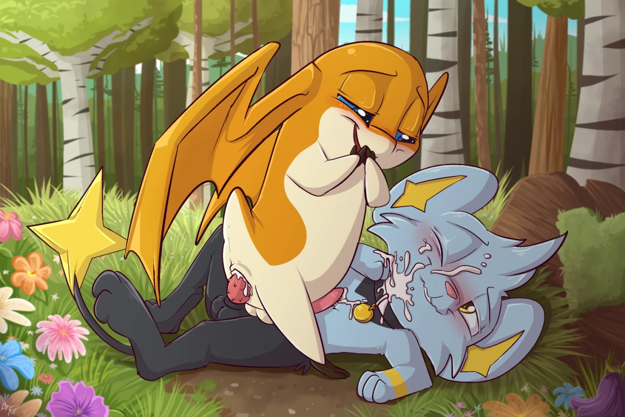 patamonshinx