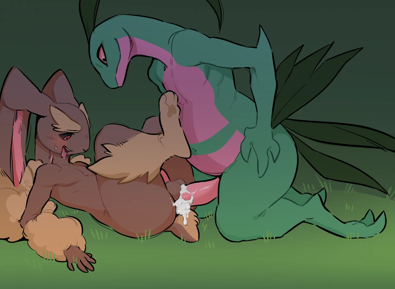 grovylelopunny