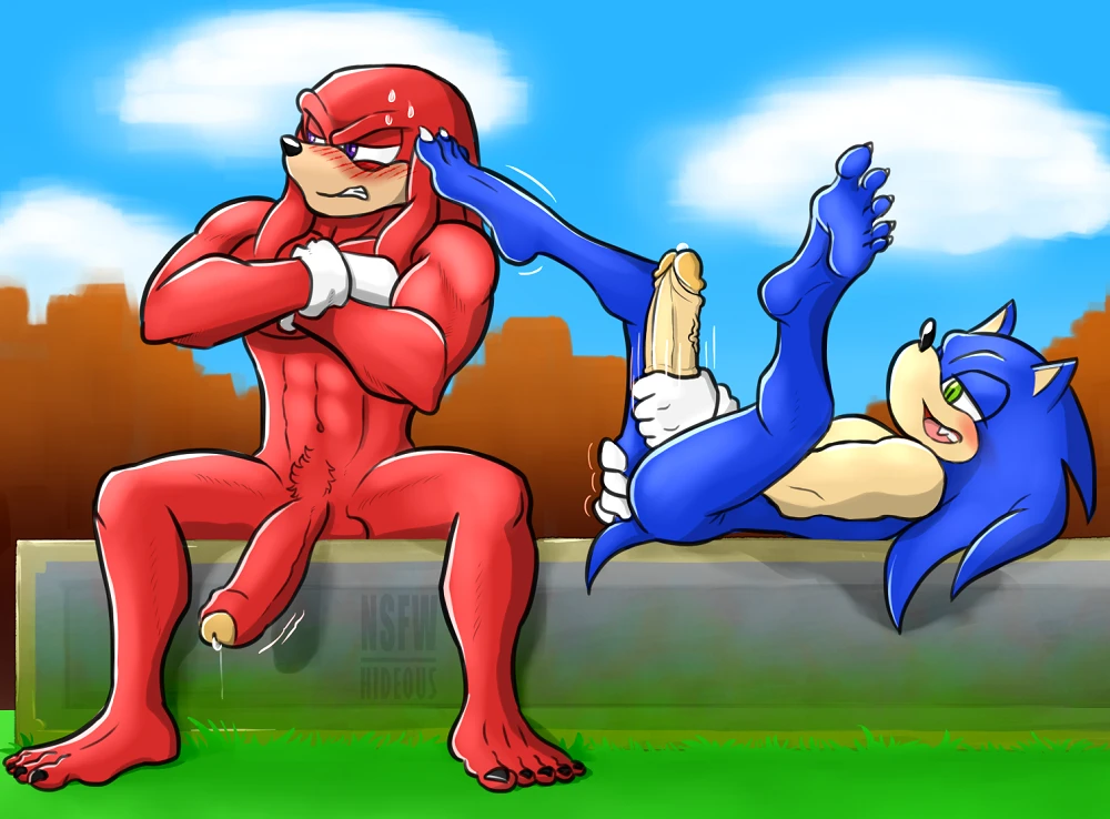 knuckles-the-echidnasonic-the-hedgehog