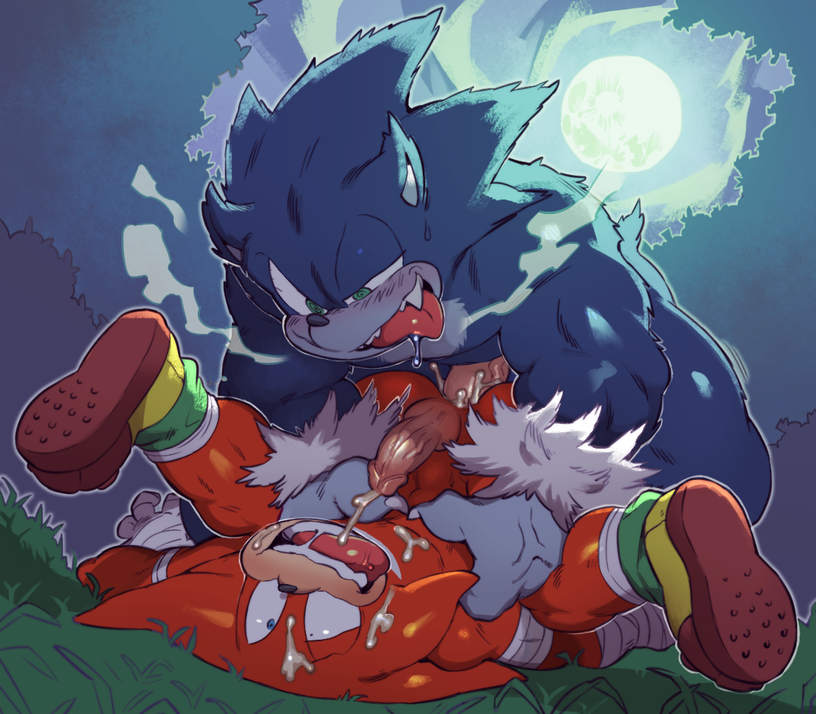 knuckles the echidna+sonic the hedgehog+sonic the werehog.