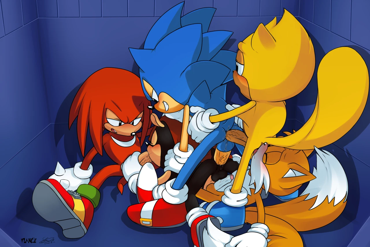 knuckles-the-echidnamighty-the-armadilloray-the-flying-squirrelsonic-the-hedgehogtails
