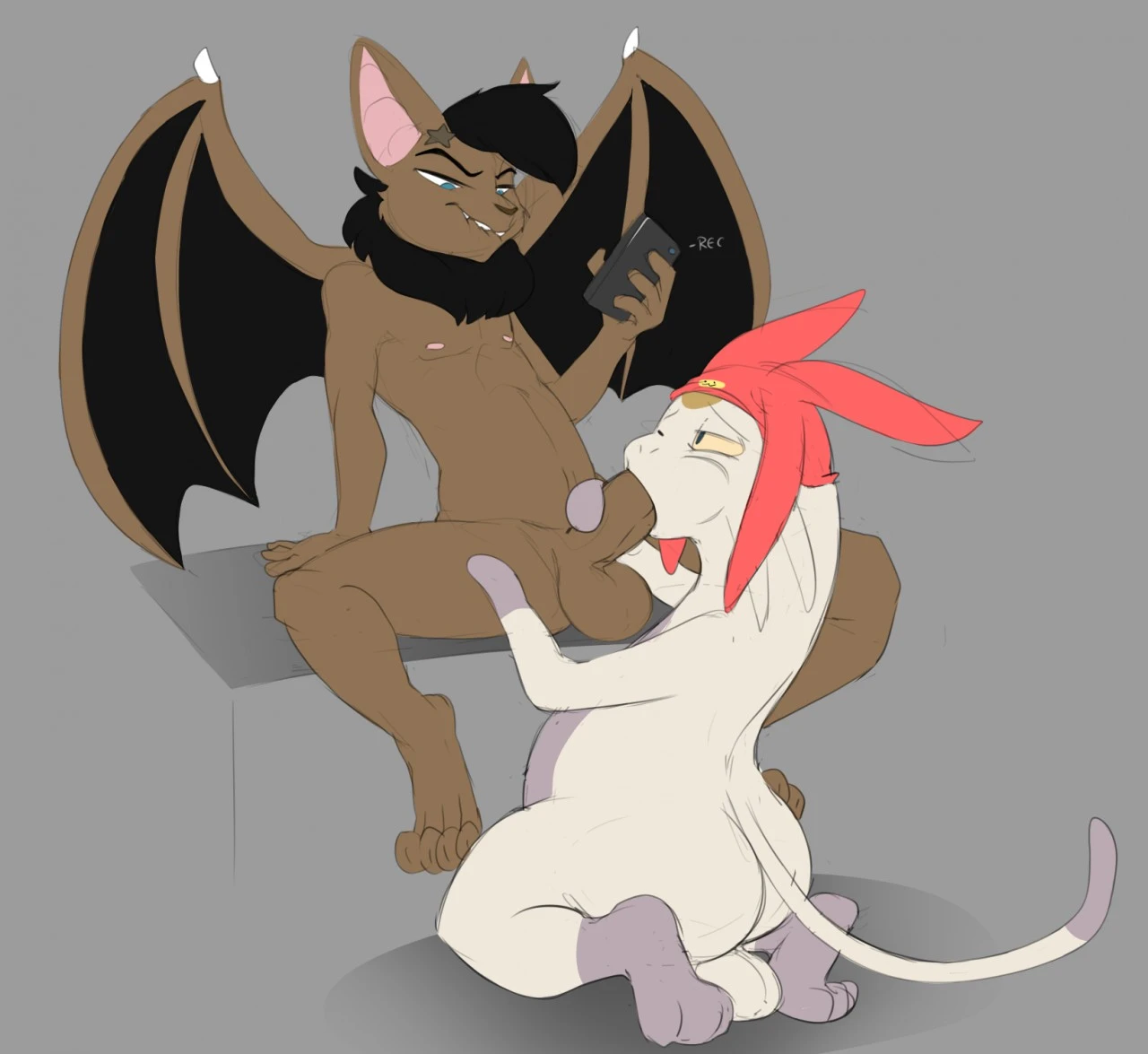 meow-space-dandy