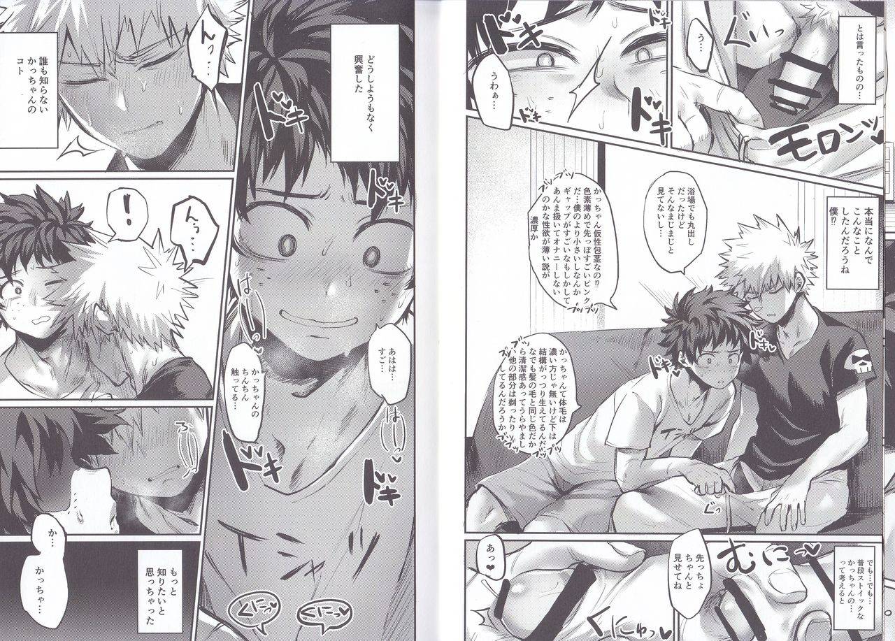 bakukoi-dynamite-sasami-no-maruyaki-toribami-sasami-nitamono-doushi-boku-no-hero-academia