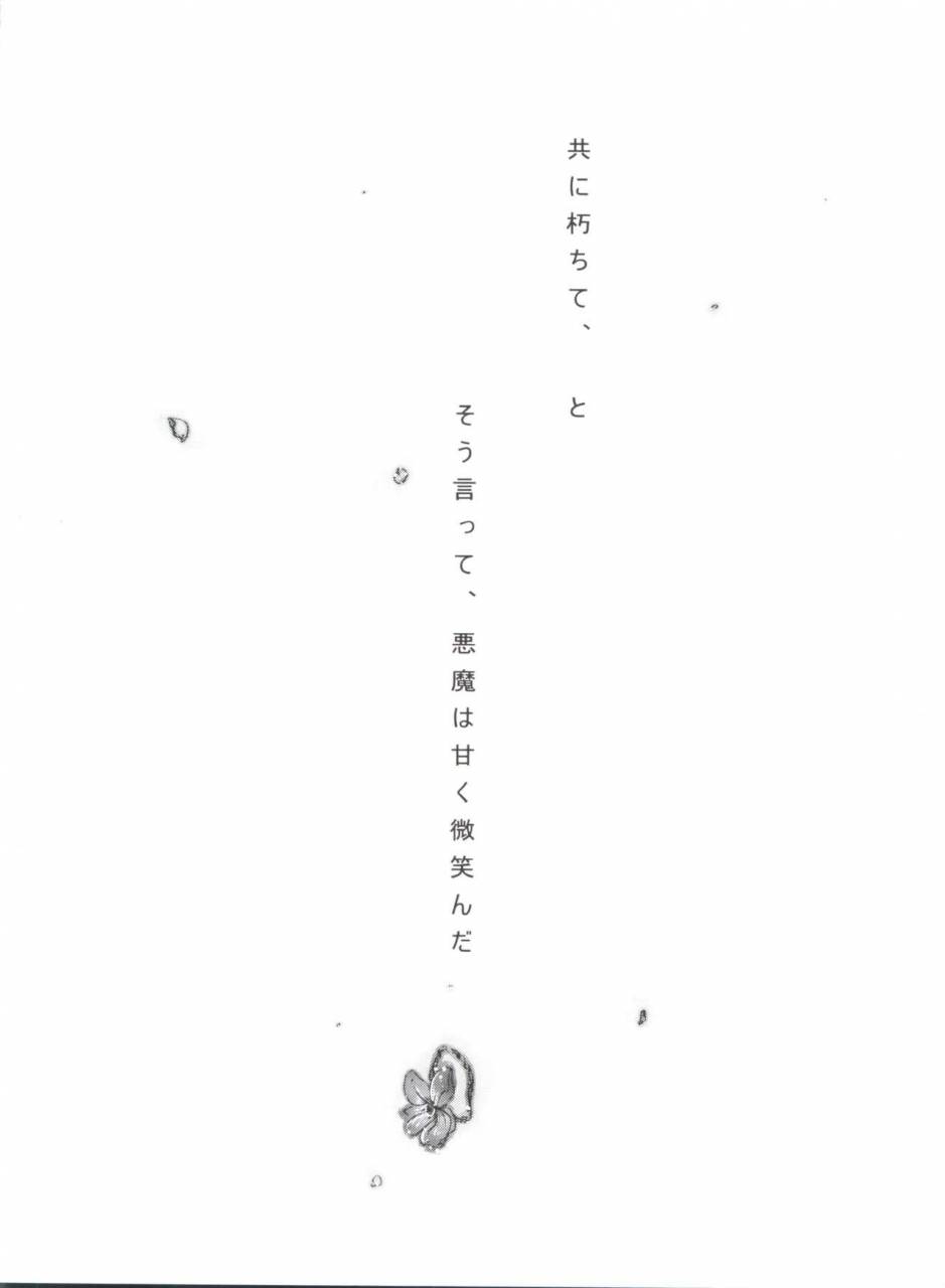 c80-chocolate-macaron-yoshizawa-vanilla-chimerique-blue-black-butler