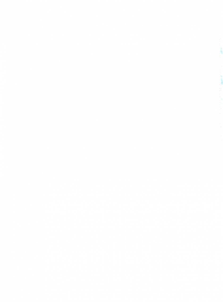 c80-chocolate-macaron-yoshizawa-vanilla-chimerique-blue-black-butler