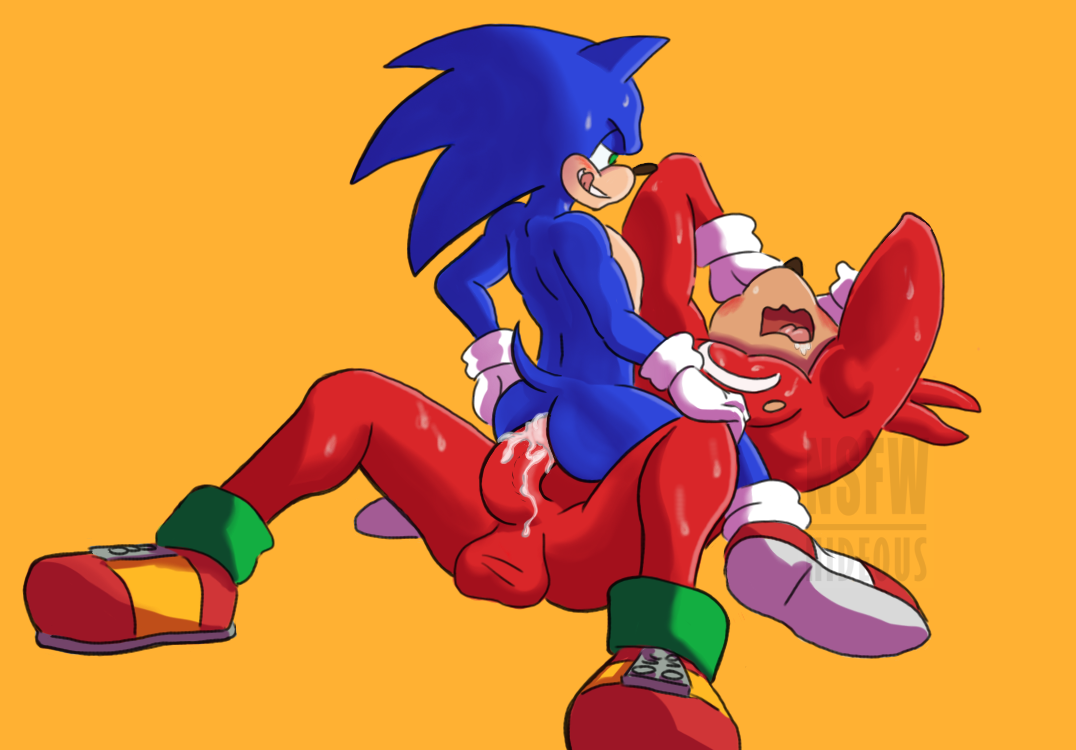 knuckles the echidna+sonic the hedgehog.