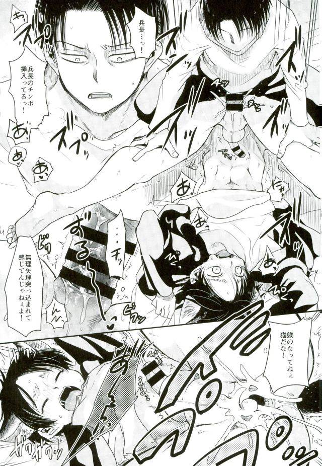 c91-sonic-pana-shinpei-kun-ga-neko-ni-narimashite-shingeki-no-kyojin