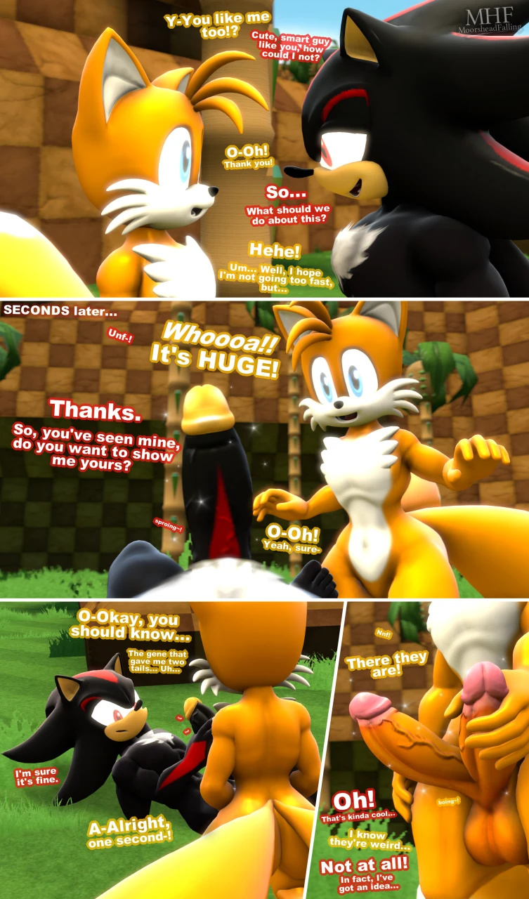 shadow-the-hedgehogtails