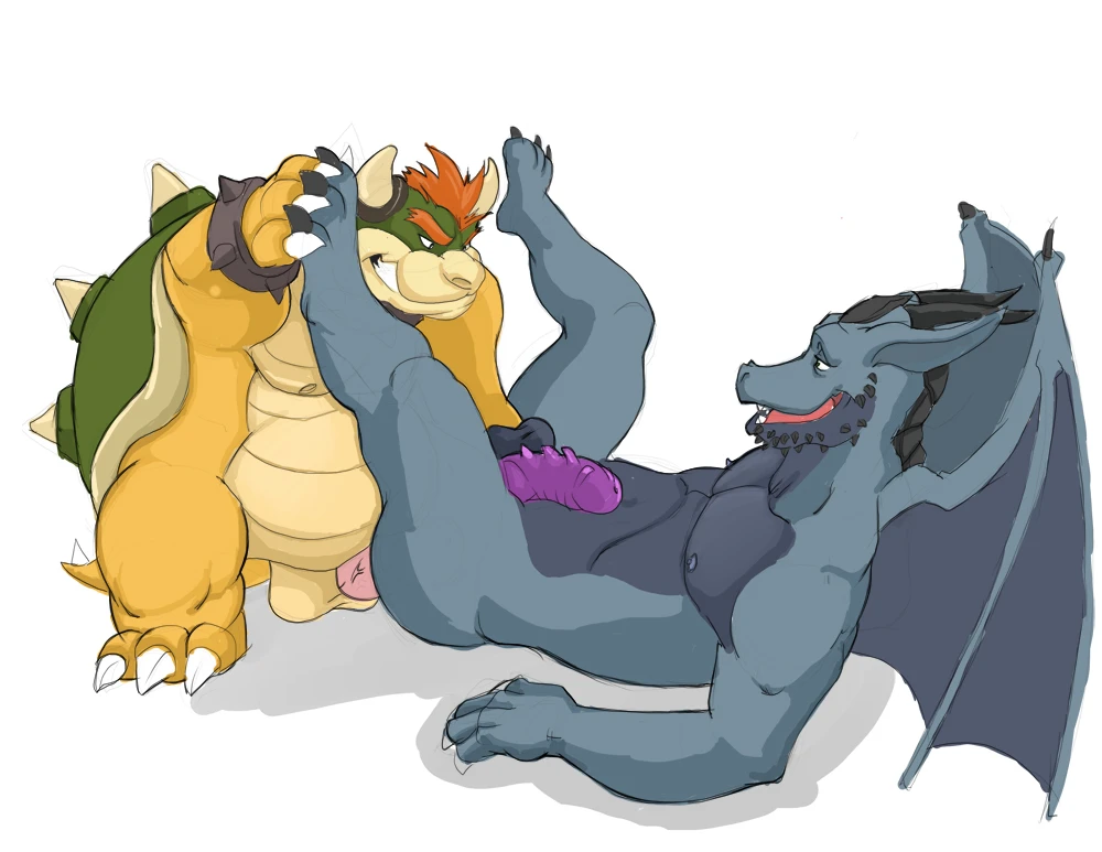 bowserkoopa