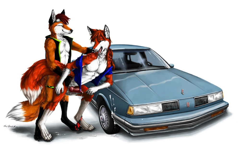 rikoshiskifox