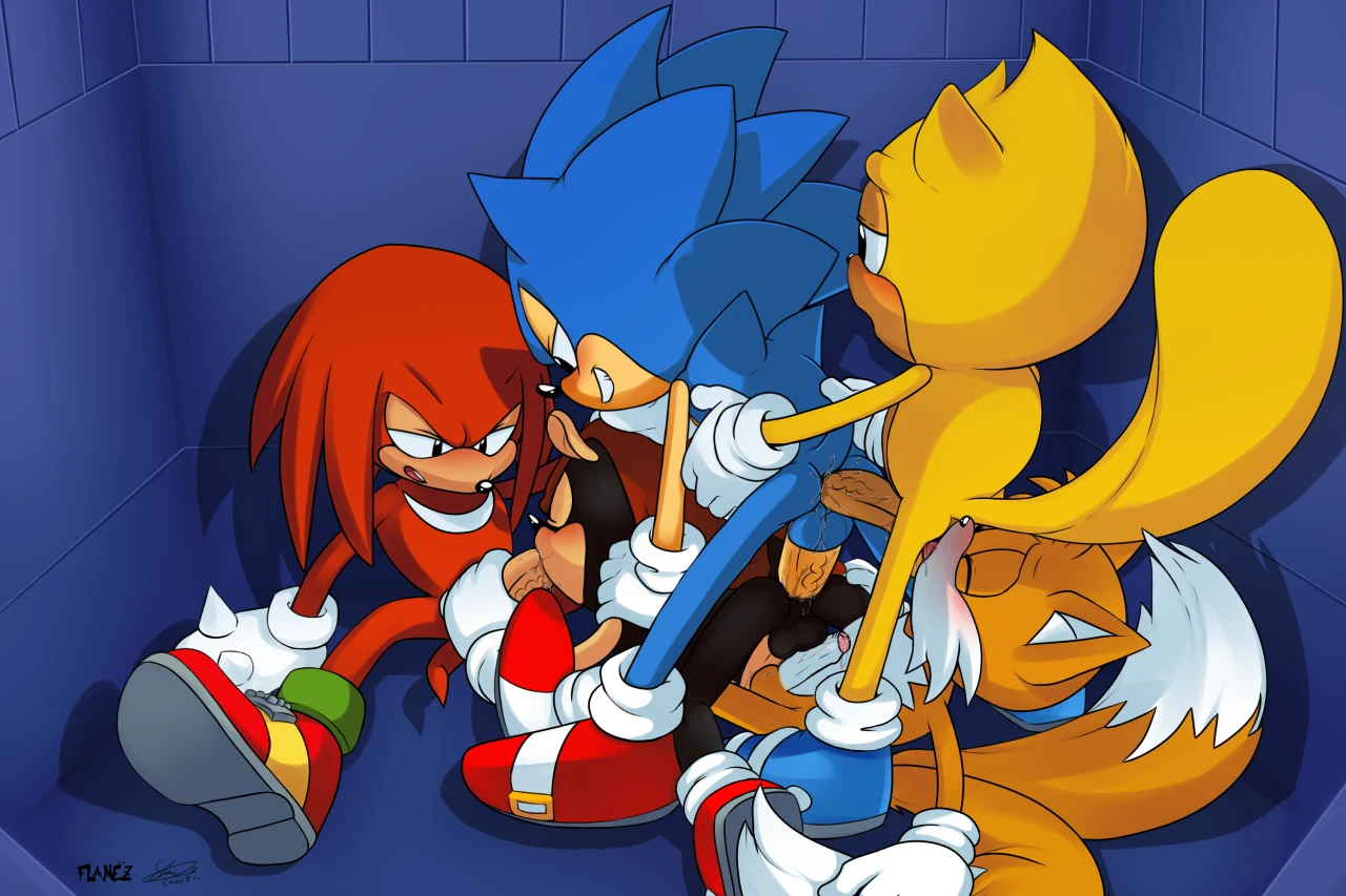 knuckles-the-echidnamighty-the-armadillomiles-prowerray-the-flying-squirrelsonic-the-hedgehogtails