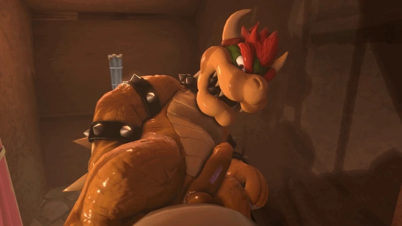 bowserkoopa