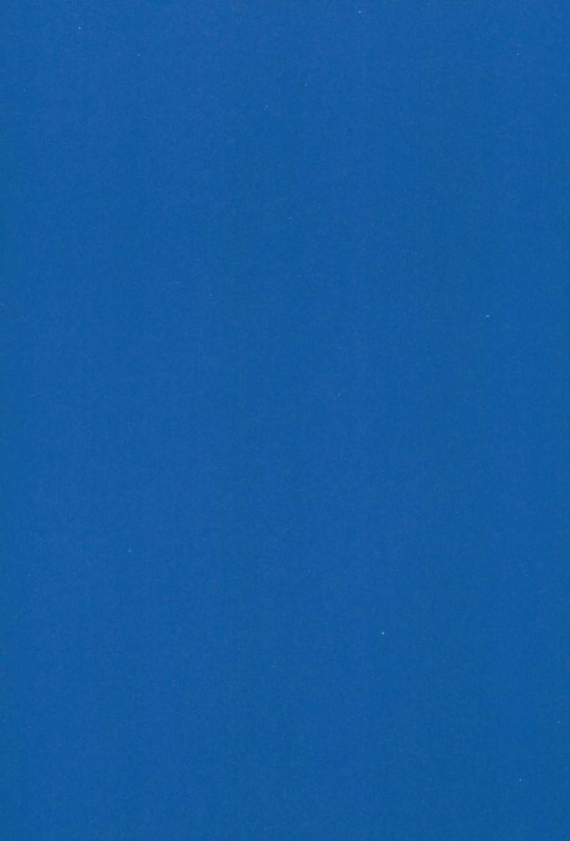 c93-kaochuu-kingdom-sisei-astolfo-to-hitasura-sex-shitetara-itsunomanika-sekai-horondeta-kedo-betsu-ni-ii-kimi-sae-soba-ni-ite-kuretara-fategrand-order