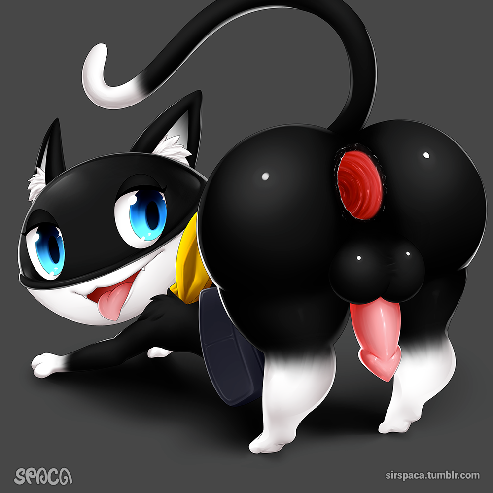 morganamorgana-persona