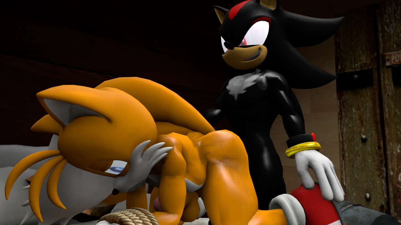 shadow-the-hedgehogtails