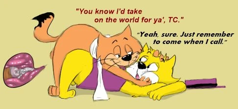 top-cat