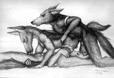 unknown