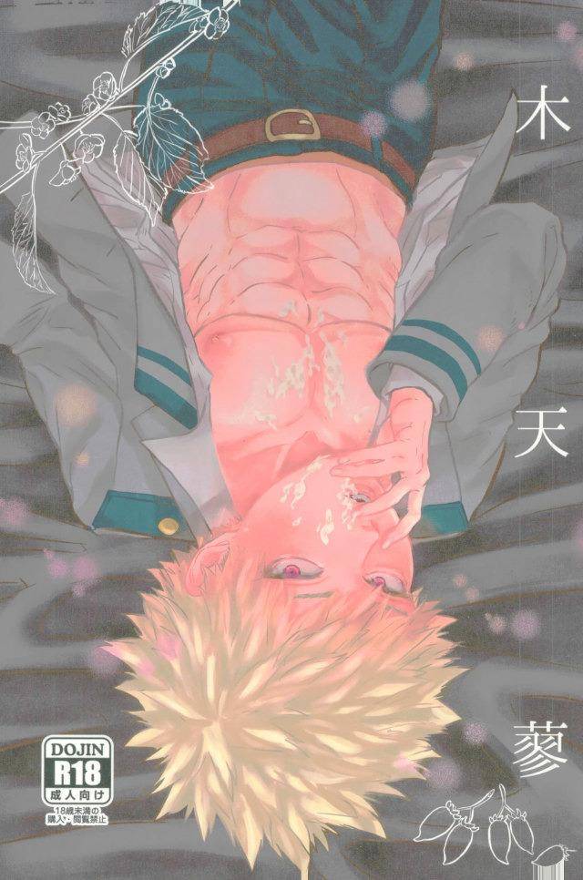 ccosaka113-hibiki-hokorobi-matatabi-boku-no-hero-academia