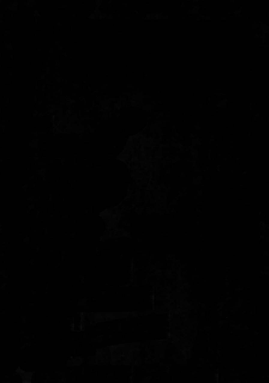 ccosaka87-crazy9-ichitaka-jinrui-saikyou-no-s-shingeki-no-kyojin