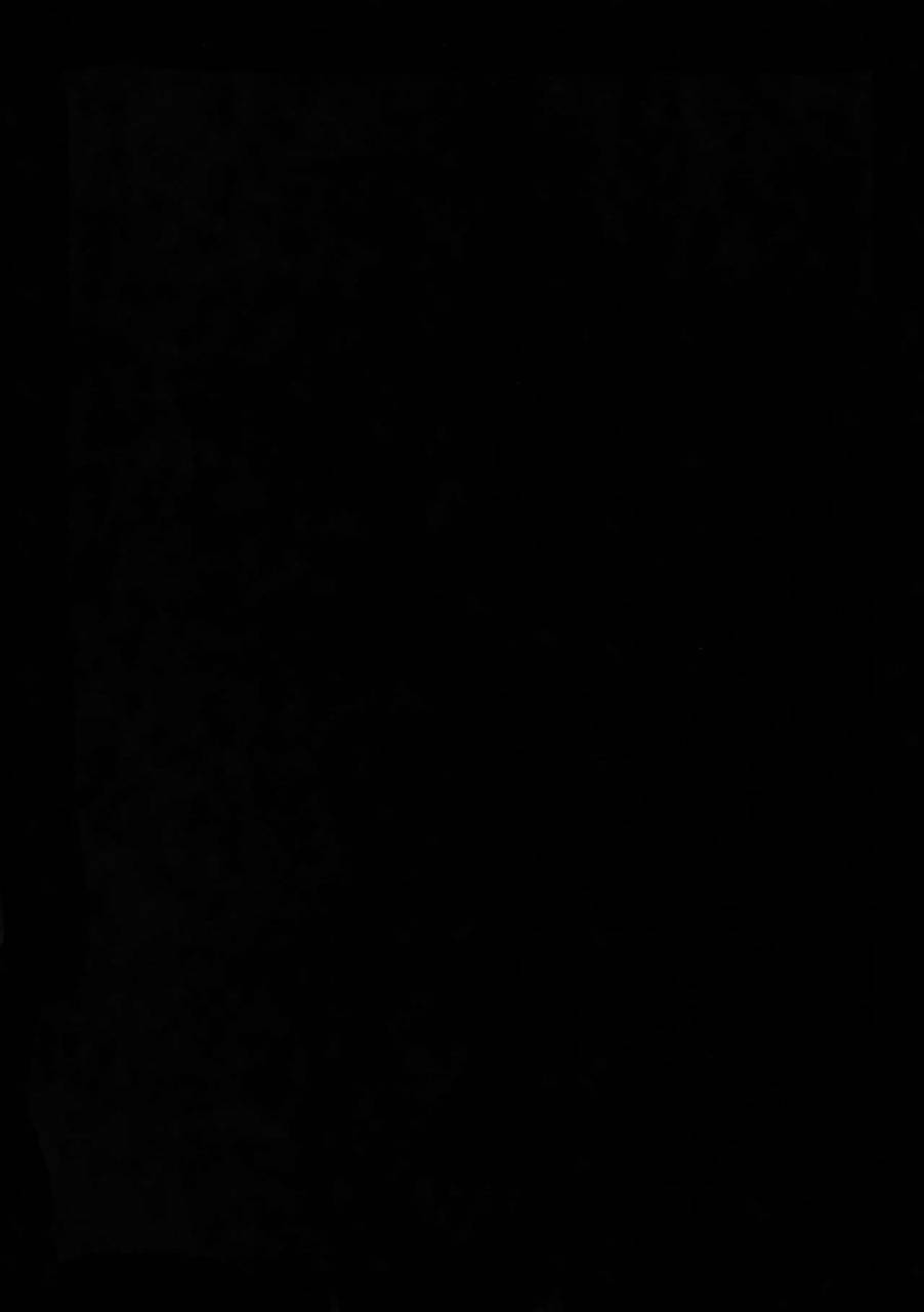 ccosaka87-crazy9-ichitaka-saishuu-heiki-180cm-kyuu-eren-o-osouji-heichou-shingeki-no-kyojin