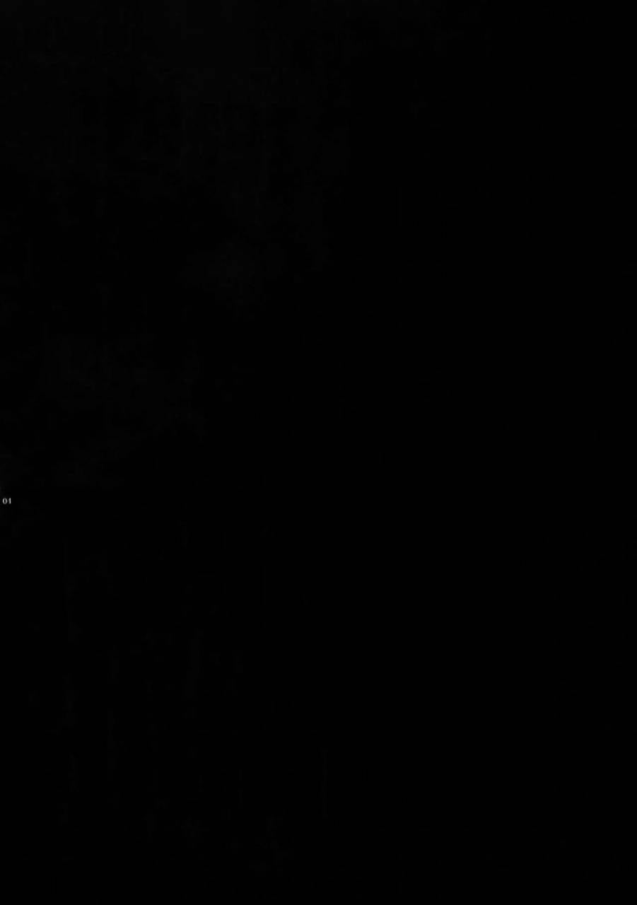 cctokyo141-crazy9-ichitaka-kin-san-to-hime-hajime-fategrand-order