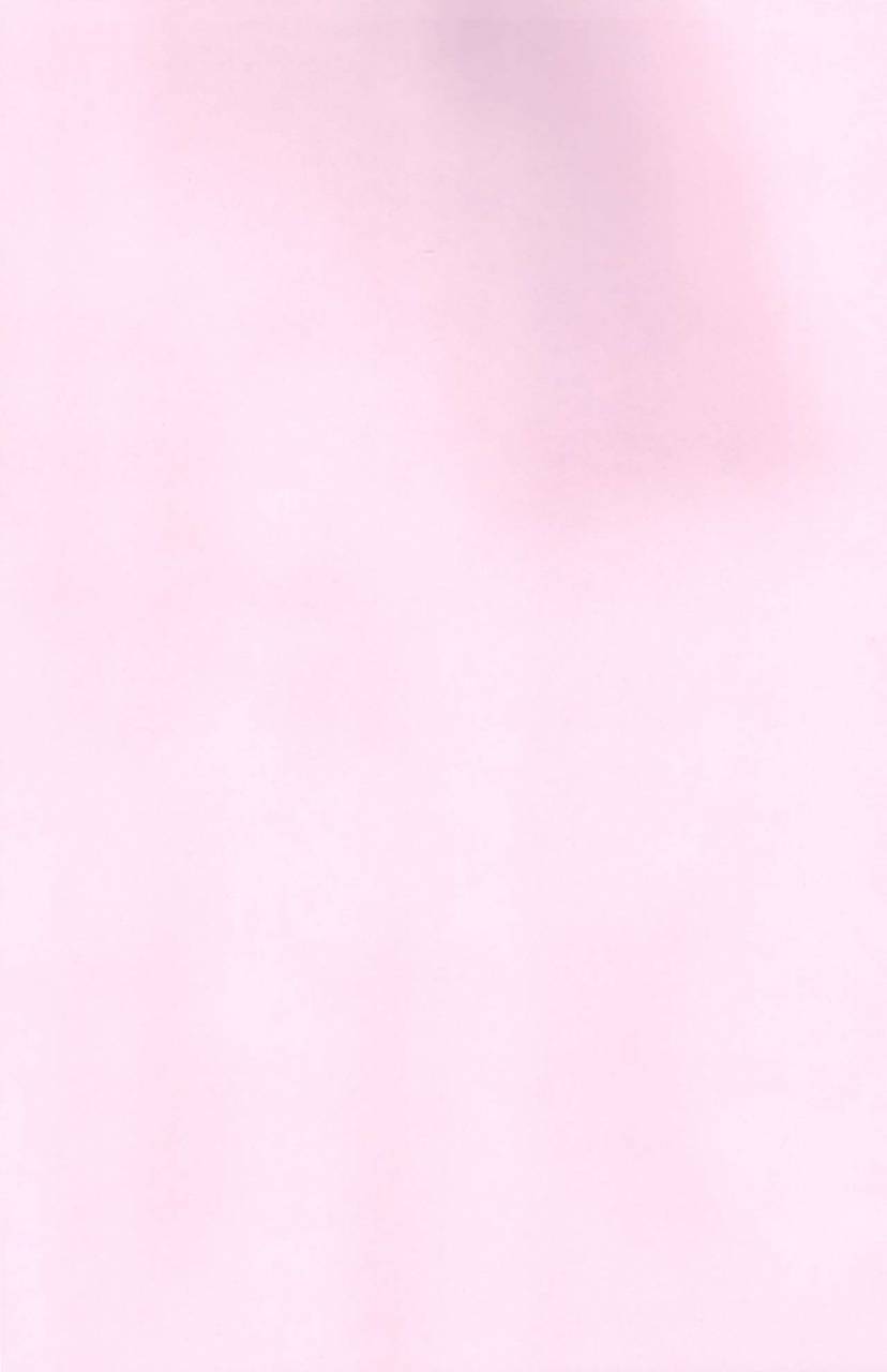 ct31-brand-nyu-nyu-risei-jouhatsu-astolfo-fategrand-order