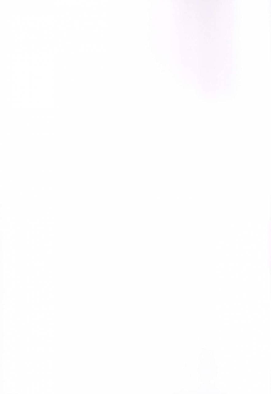 ct31-brand-nyu-nyu-risei-jouhatsu-astolfo-fategrand-order