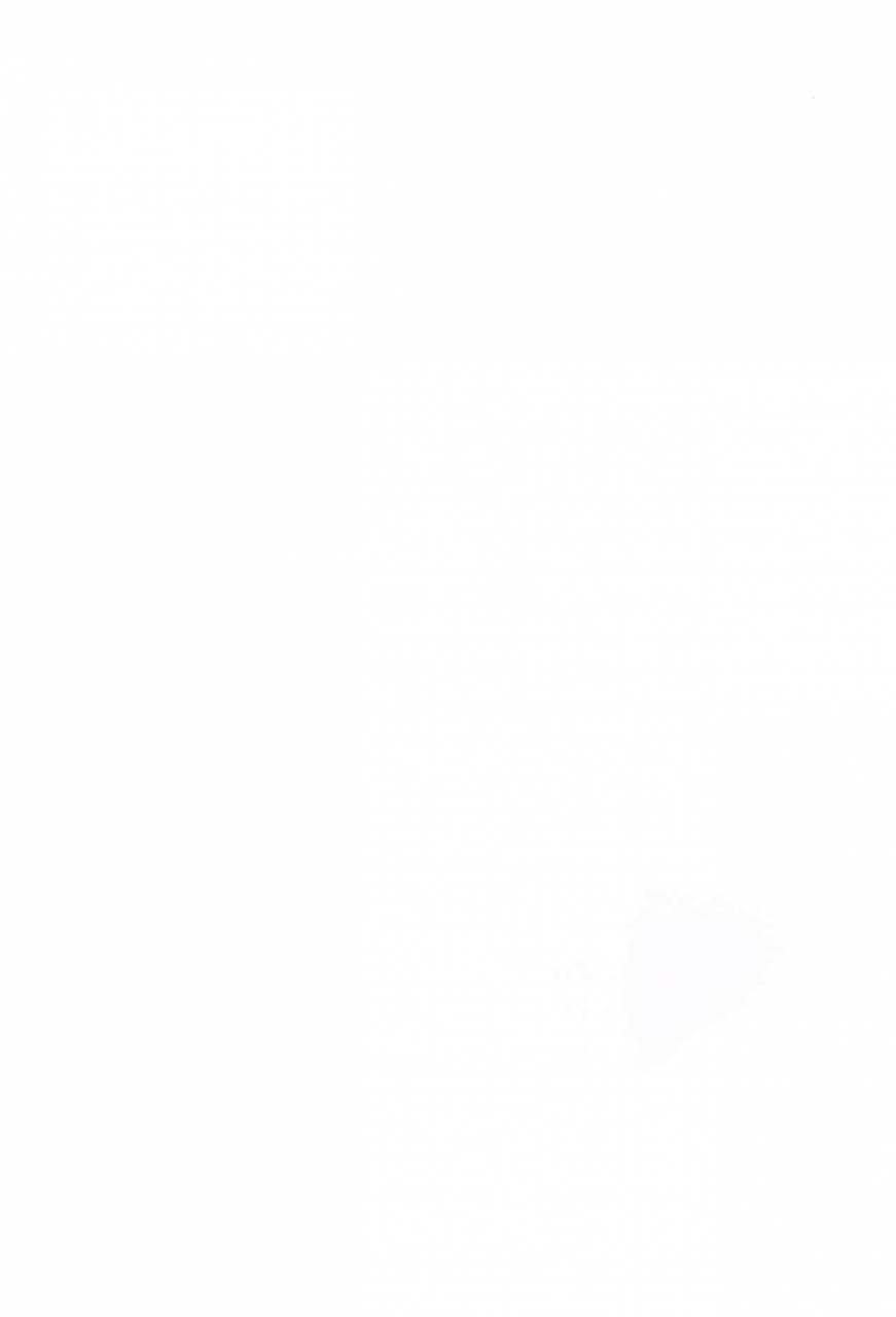 ct31-brand-nyu-nyu-risei-jouhatsu-astolfo-fategrand-order-english-mysterymeat3