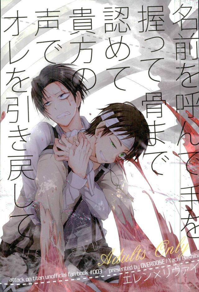 chousa-heidan-no-renai-jijou-overdose-hashiba-yachi-namae-o-yonde-te-o-nigitte-hone-made-mitomete-anata-no-koe-de-ore-o-hikimodoshite-shingeki-no-kyojin