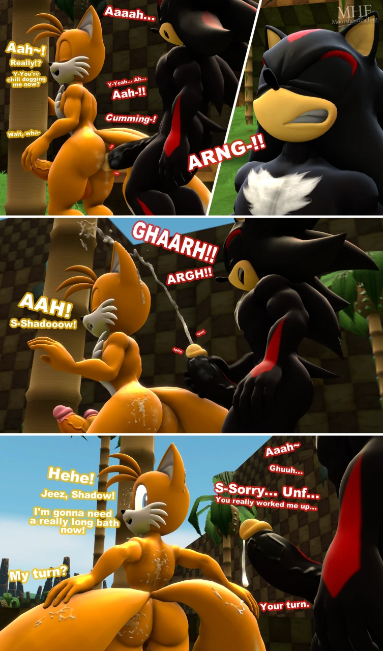 shadow-the-hedgehogtails
