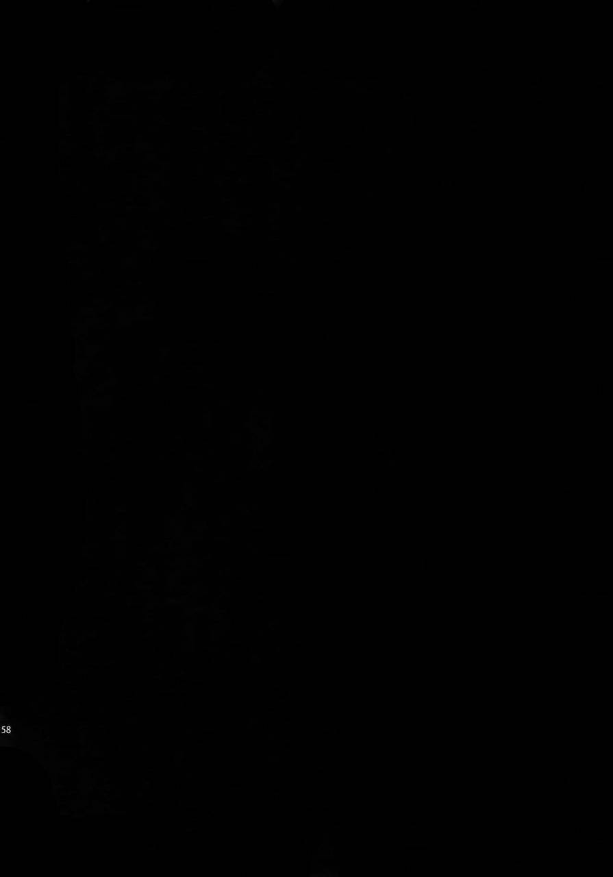 dai-2-kai-hekigai-chousa-haku-crazy9-ichitaka-dogs-sairoku-shingeki-no-kyojin