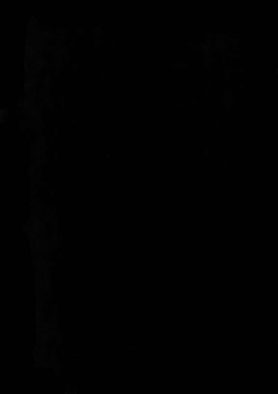 dai-4-ji-root4to5-crazy9-ichitaka-nameru-no-wa-kinshi-desu-fatezero